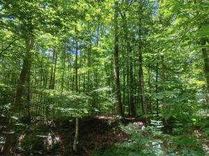 MLS #R1698675 image #0