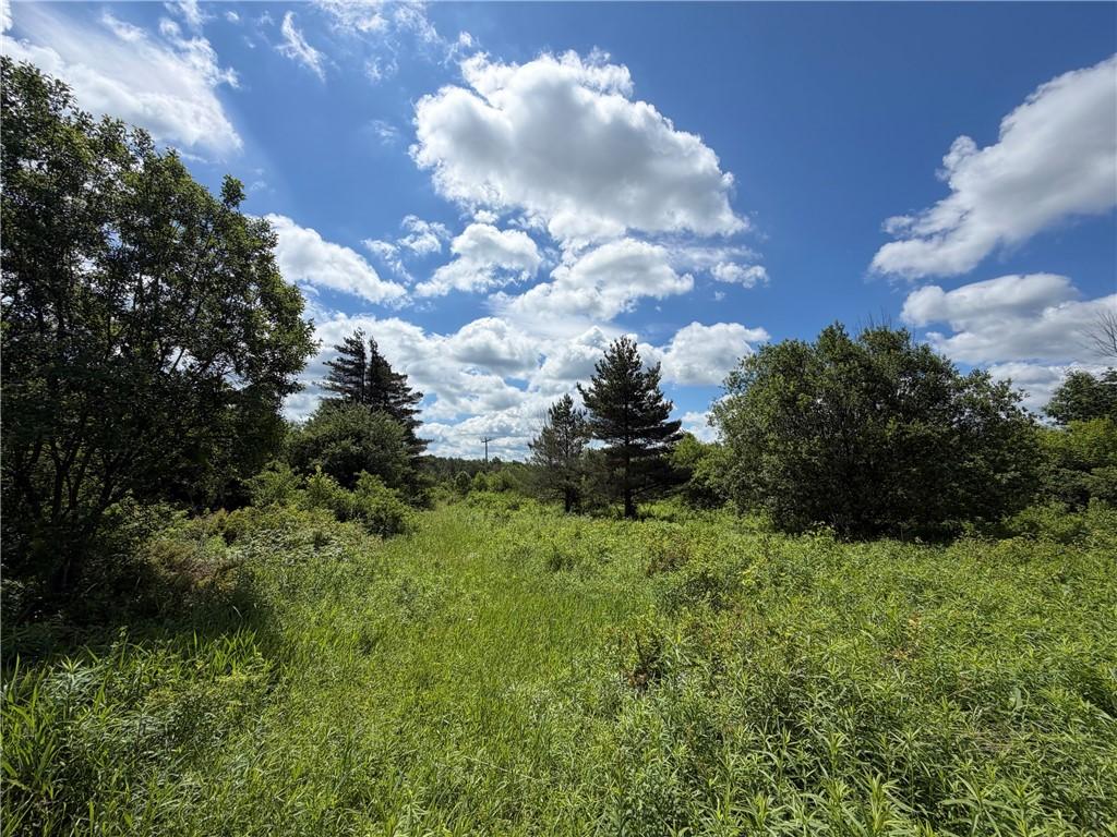 MLS #R1699945 image #0