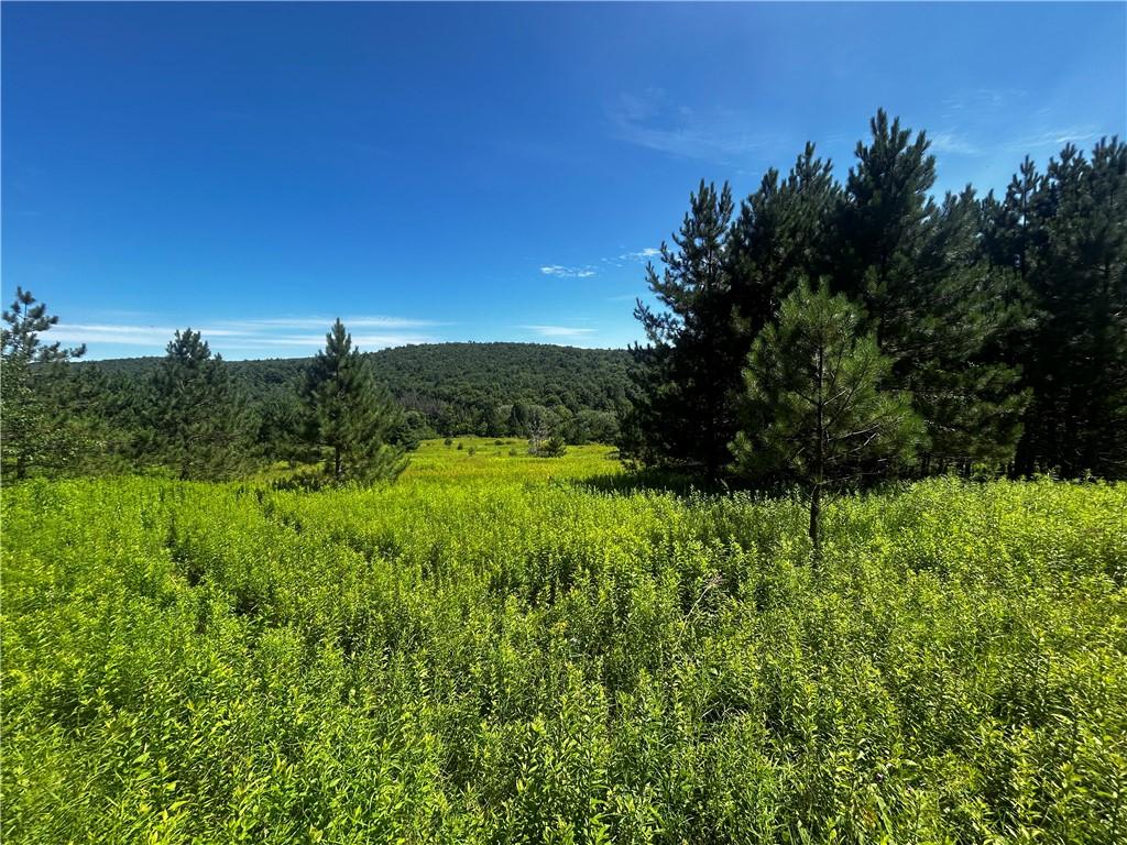 MLS #R1700066 image #0