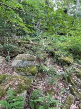 MLS #R1700854 image #0