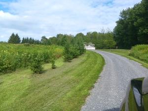 MLS #R1704954 image #0