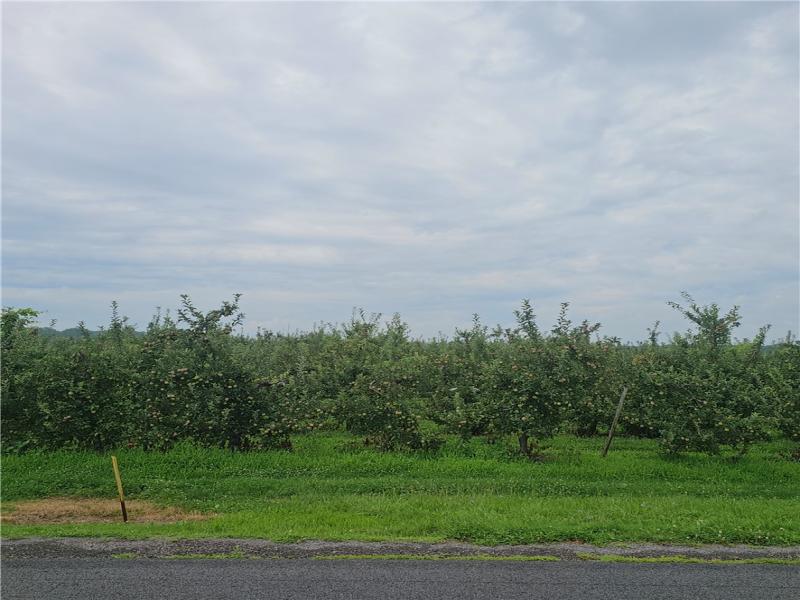 MLS #R1705542 image #0