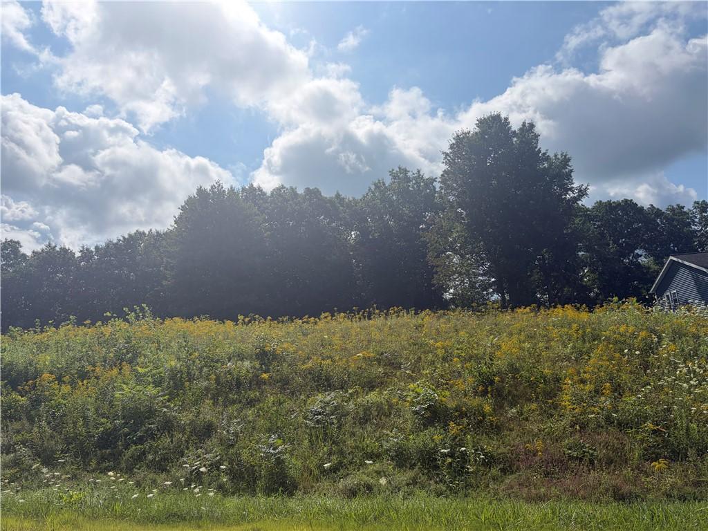 MLS #R1706100 image #0
