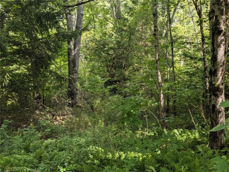 MLS #R1706657 image #0