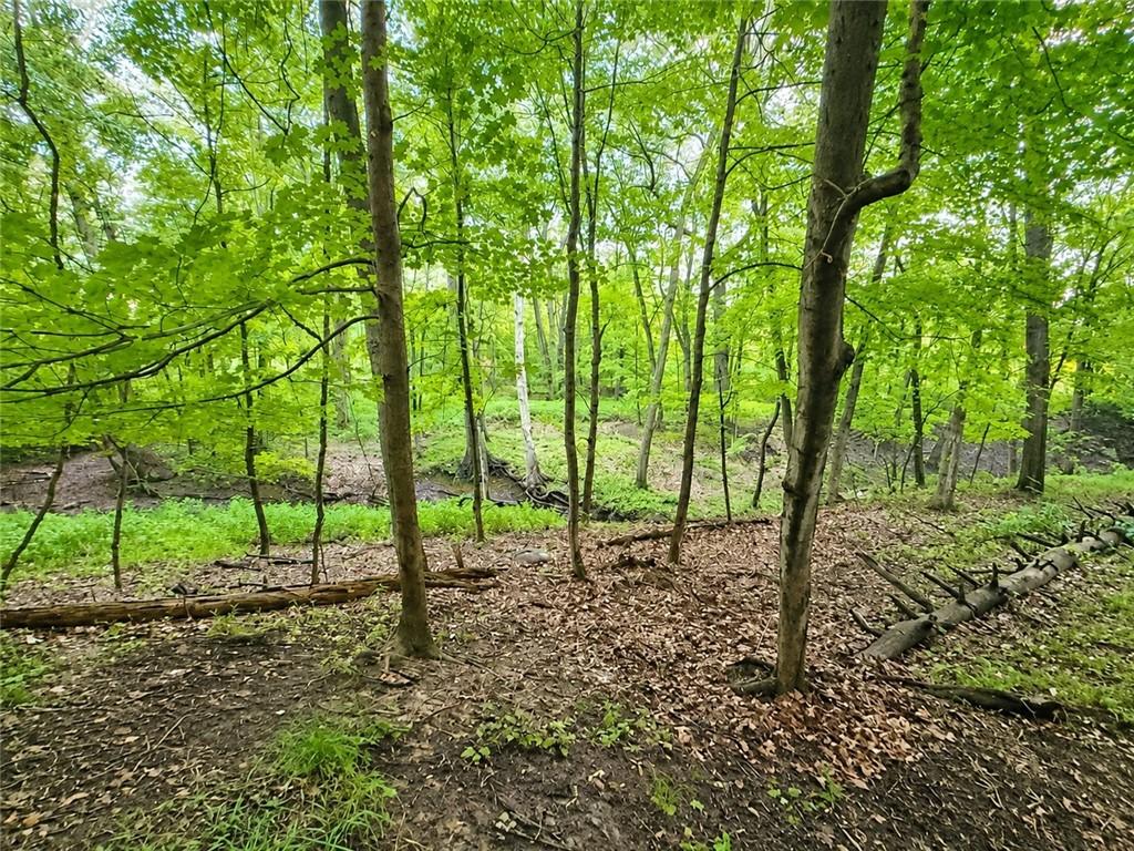MLS #R1708521 image #0