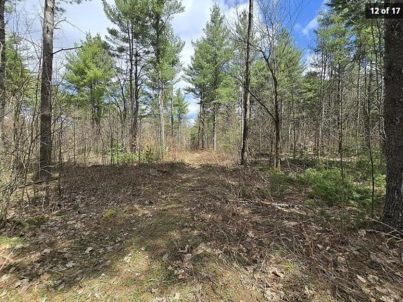 MLS #R1708919 image #0
