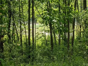 broker reciprocity