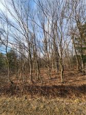 MLS #S1526186 image #0