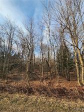 MLS #S1526252 image #0
