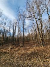 MLS #S1526269 image #0
