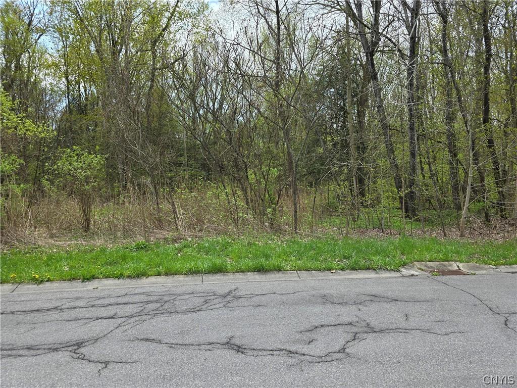 MLS #S1531575 image #0