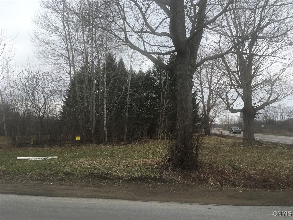 MLS #S1599093 image #0