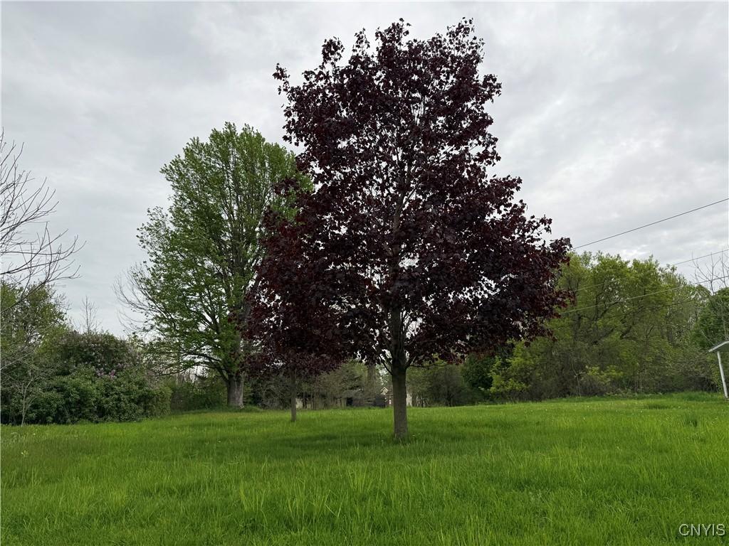 MLS #S1606802 image #0