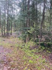 MLS #S1607864 image #0