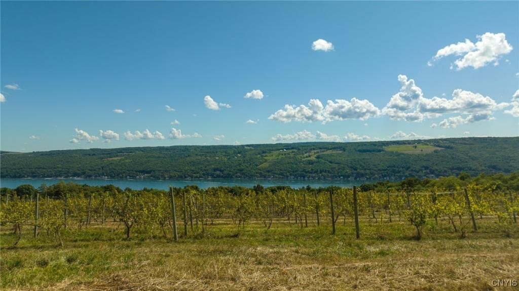 MLS #S1632565 image #0