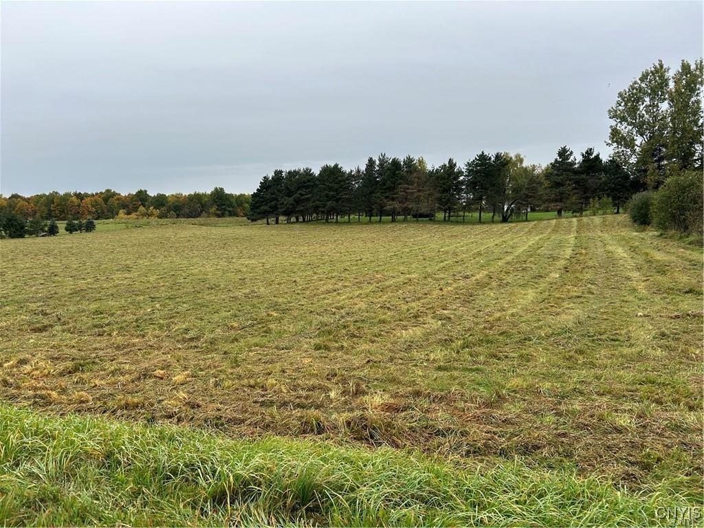 MLS #S1645059 image #0