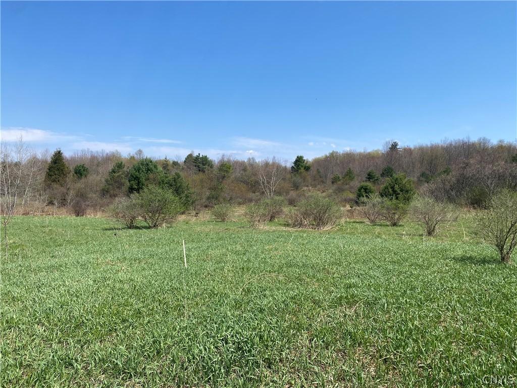 MLS #S1652795 image #0