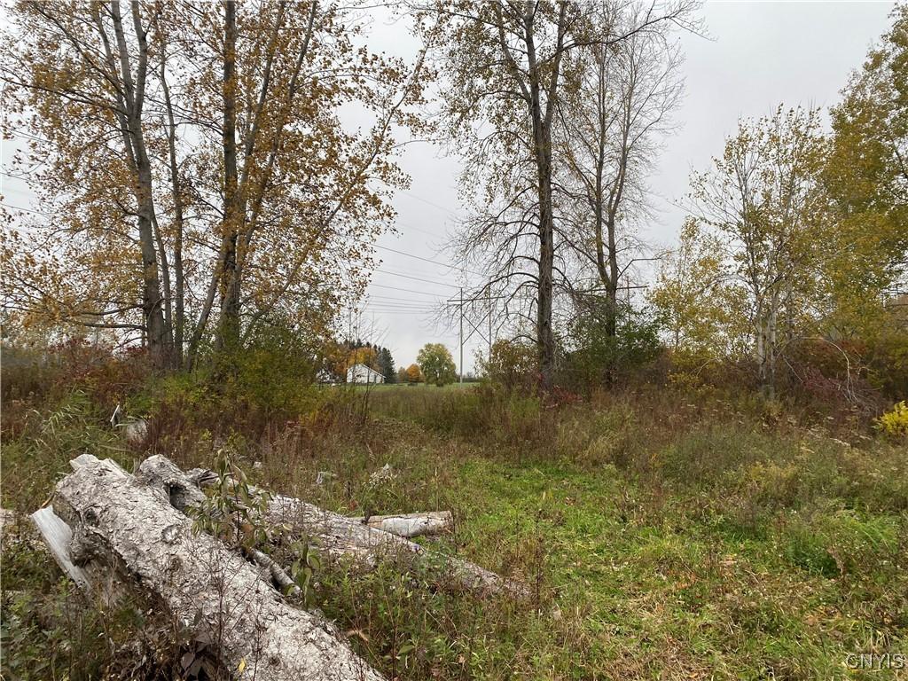 MLS #S1656085 image #0