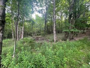 MLS #S1658474 image #0