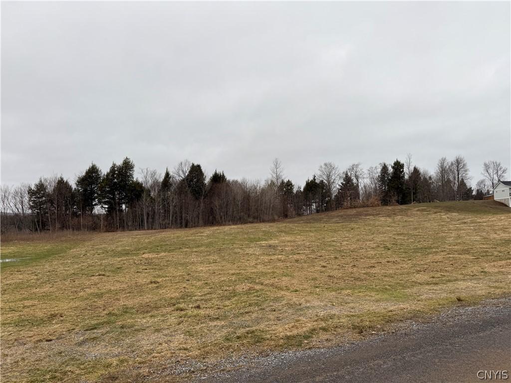 MLS #S1667921 image #0