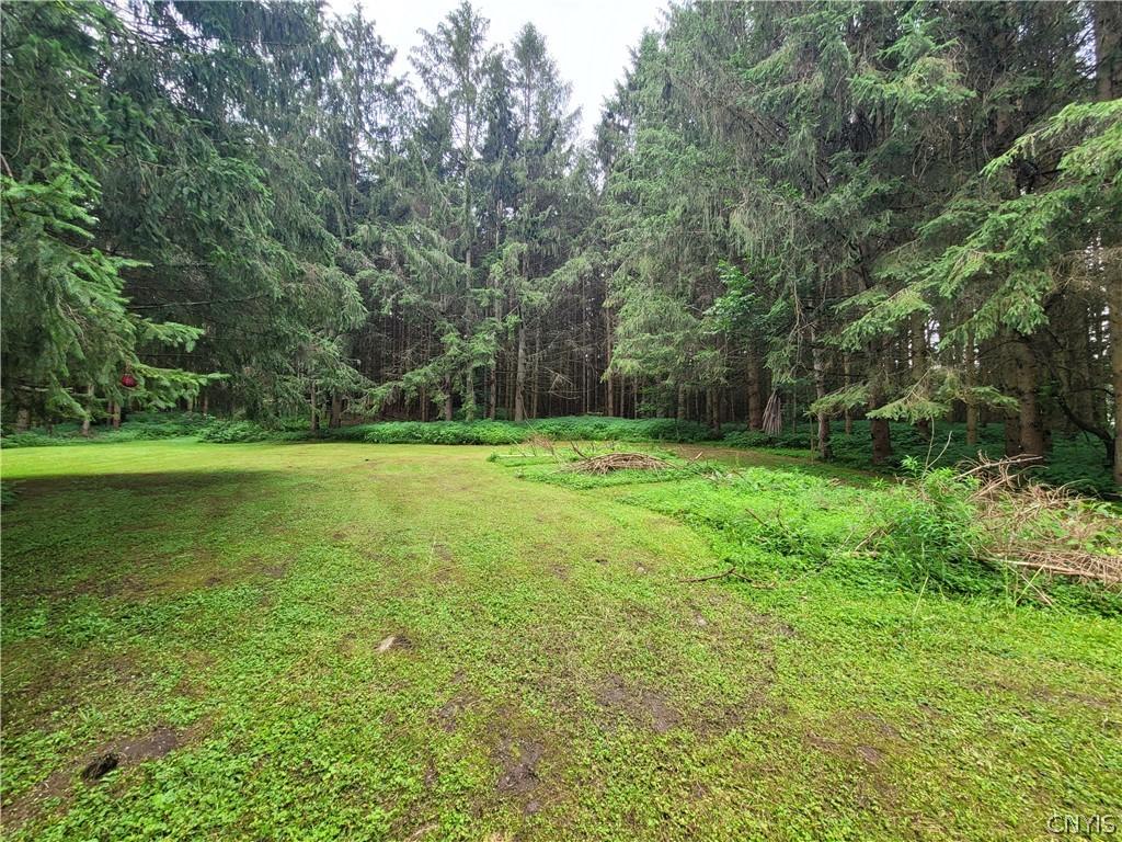 MLS #S1667932 image #0
