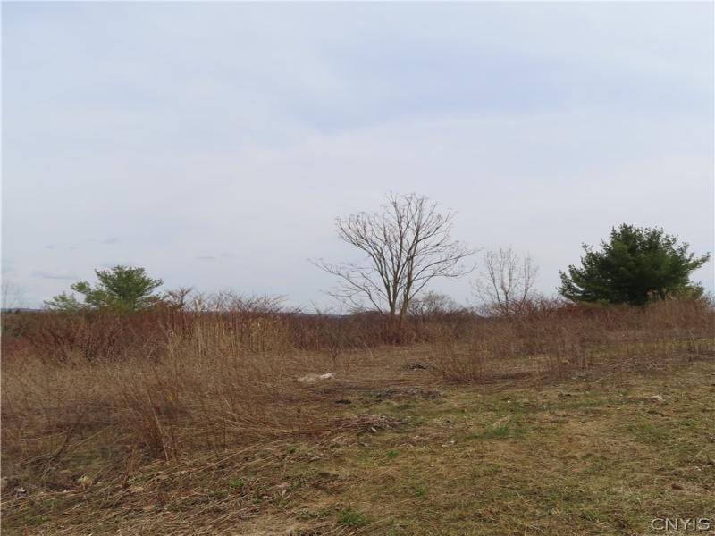 MLS #S1669007 image #0