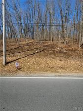 MLS #S1669309 image #0