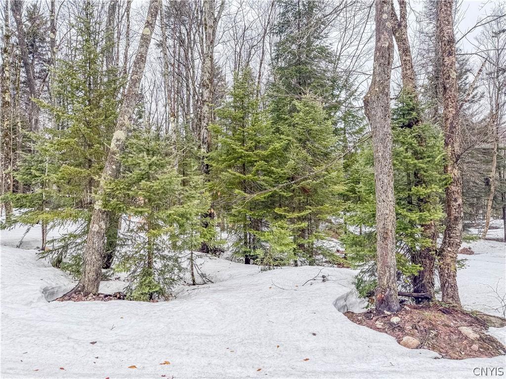 MLS #S1672138 image #0