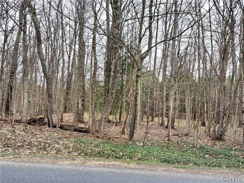 MLS #S1674522 image #0