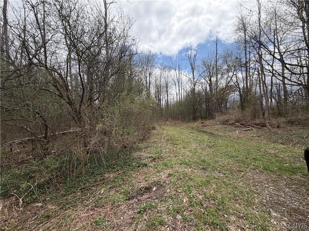 MLS #S1675109 image #0