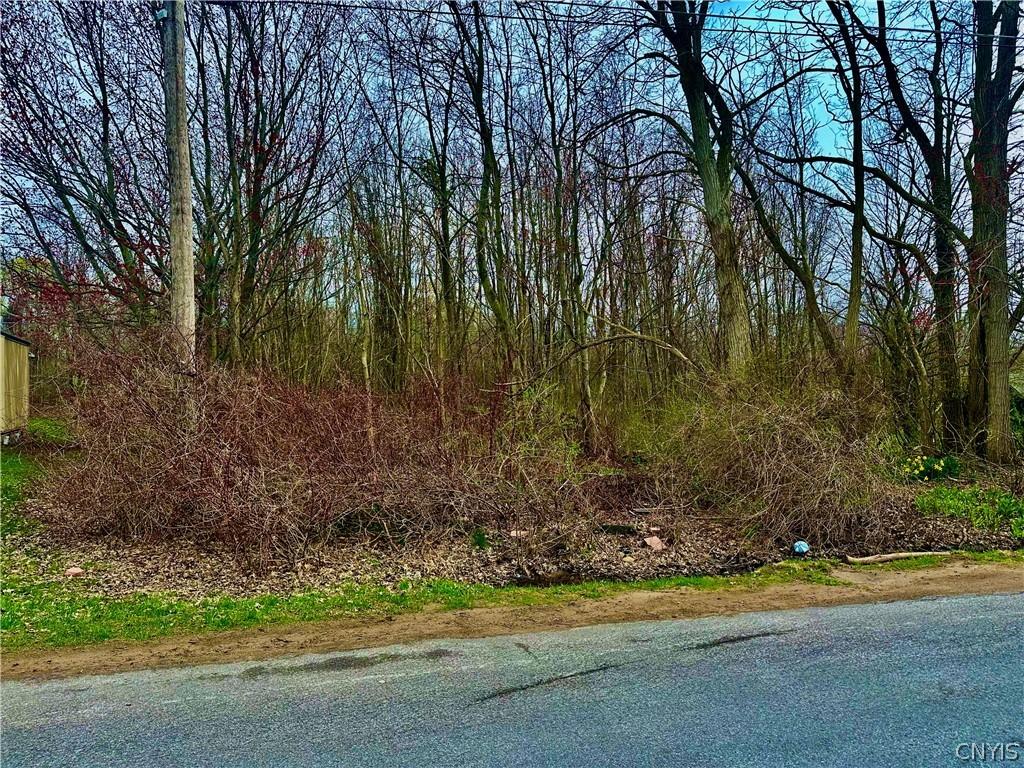 MLS #S1676163 image #0