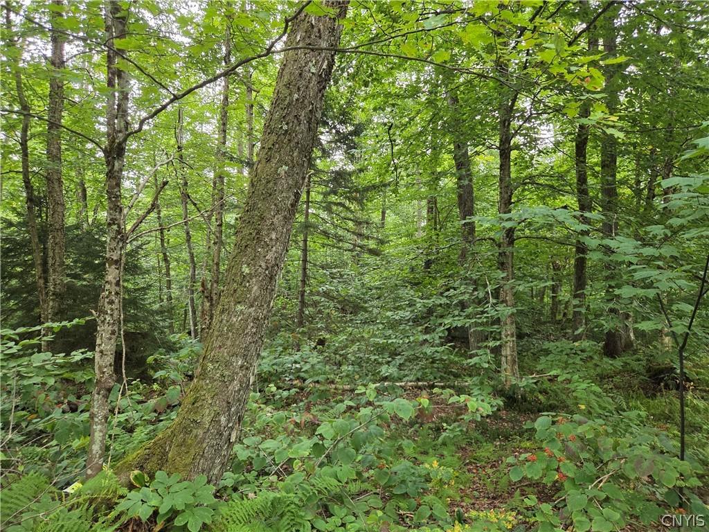 MLS #S1676944 image #0