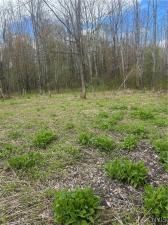 MLS #S1678179 image #0