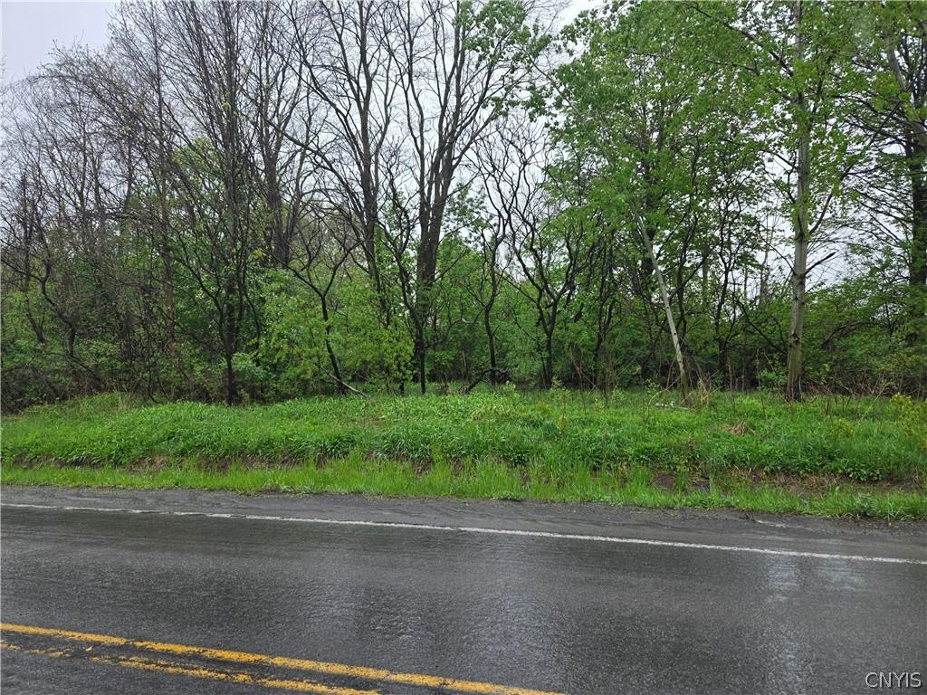 MLS #S1679497 image #0