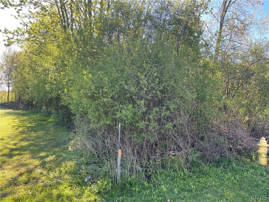 MLS #S1681901 image #0