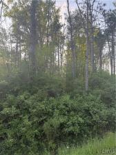 MLS #S1682483 image #0