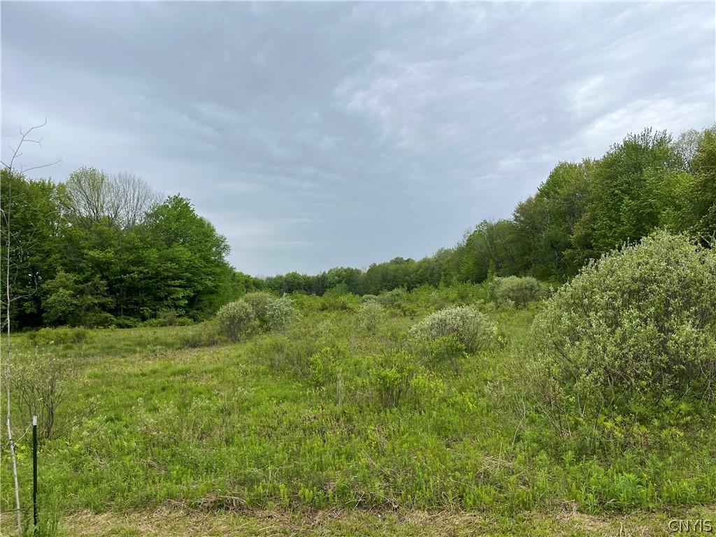 MLS #S1684292 image #0