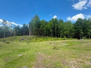 MLS #S1686125 image #0