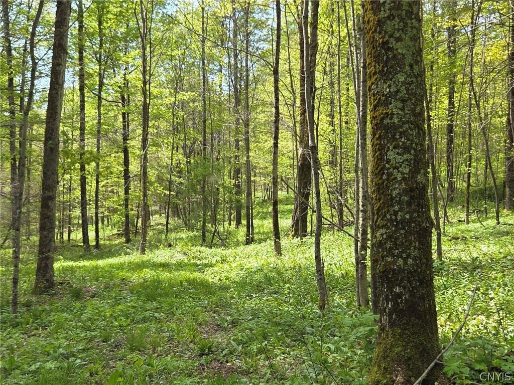 MLS #S1687984 image #0