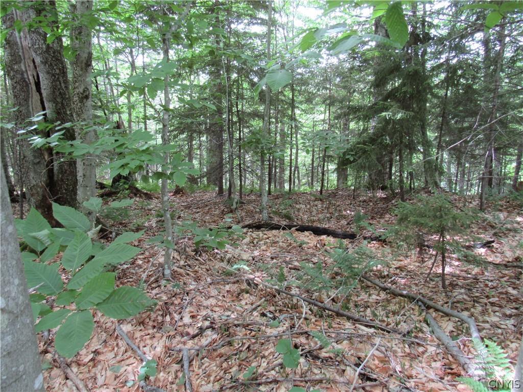 MLS #S1692214 image #0