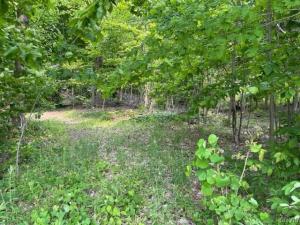 MLS #S1693500 image #0
