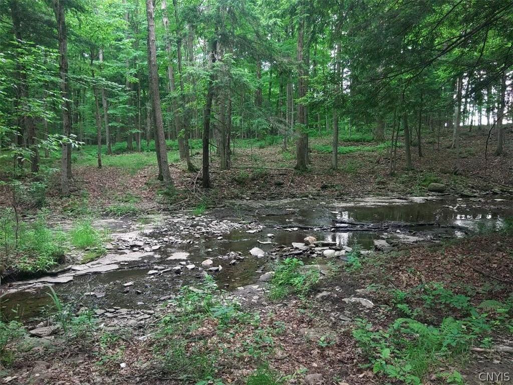 MLS #S1695065 image #0
