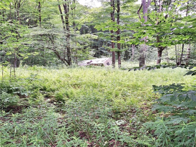 MLS #S1695868 image #0