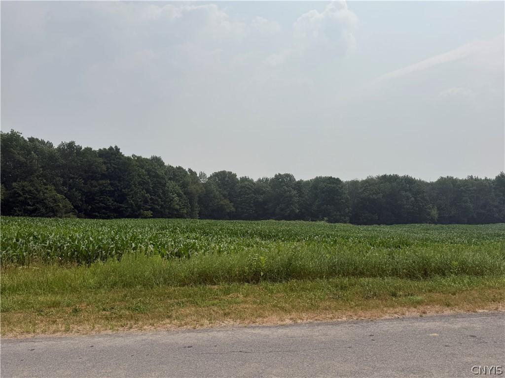 MLS #S1699249 image #0
