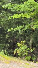 MLS #S1702393 image #0