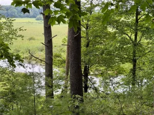 broker reciprocity
