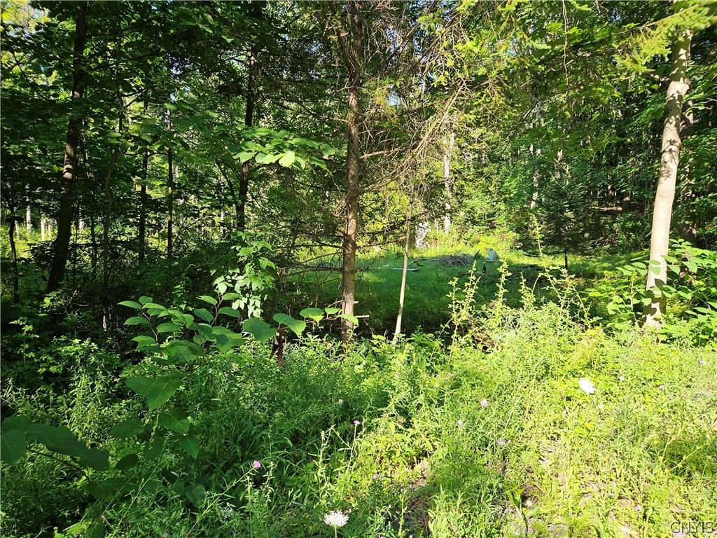 MLS #S1703385 image #0