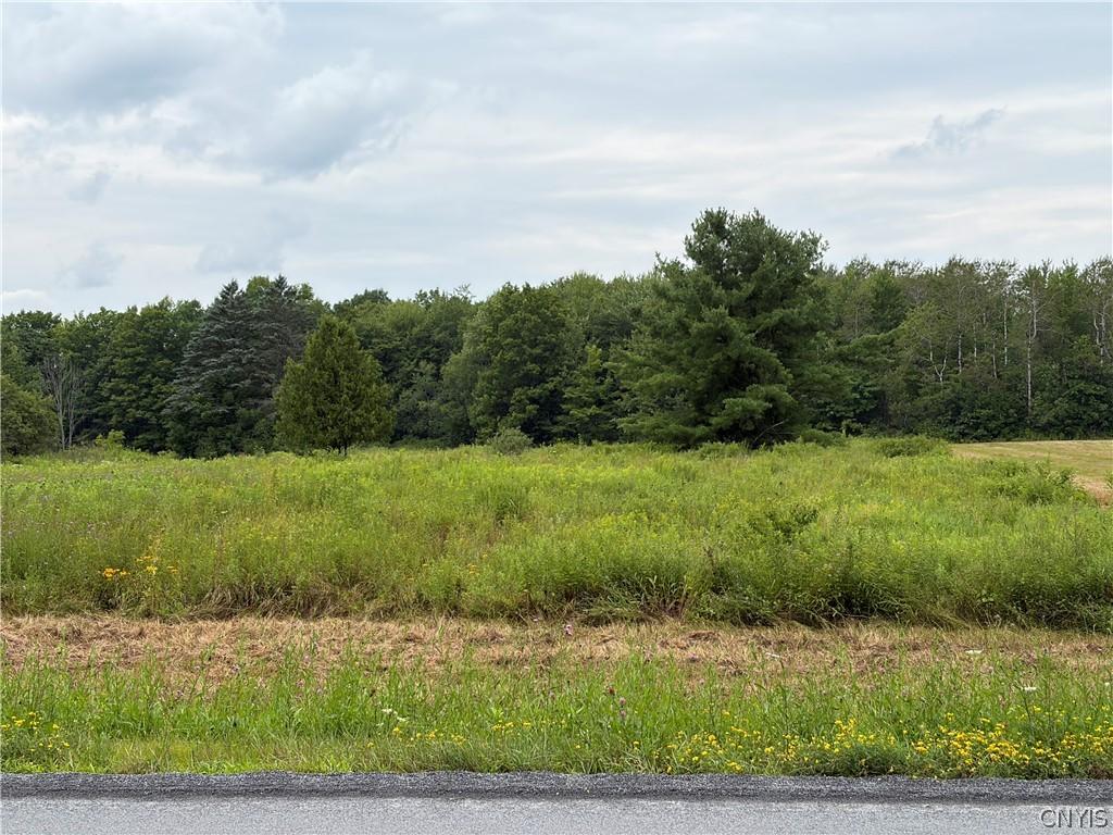 MLS #S1703621 image #0