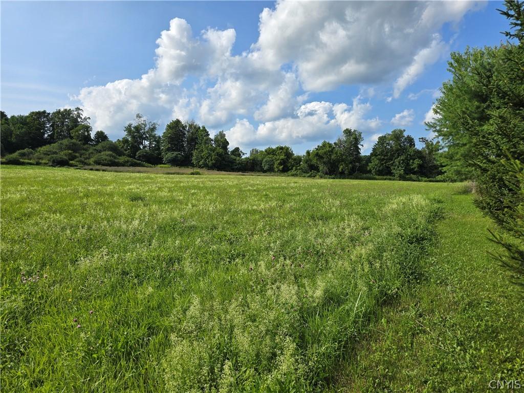 MLS #S1706381 image #0