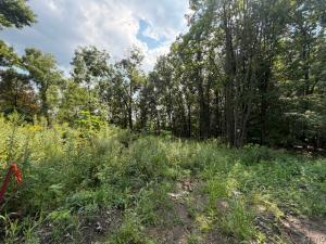 MLS #S1711472 image #0
